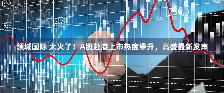 领域国际 太火了！A股赴港上市热度攀升，高盛最新发声