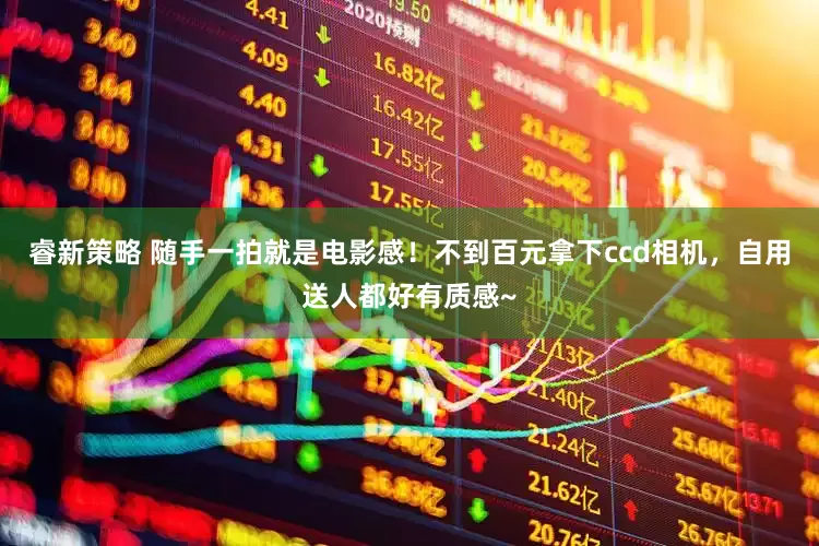 睿新策略 随手一拍就是电影感！不到百元拿下ccd相机，自用送人都好有质感~
