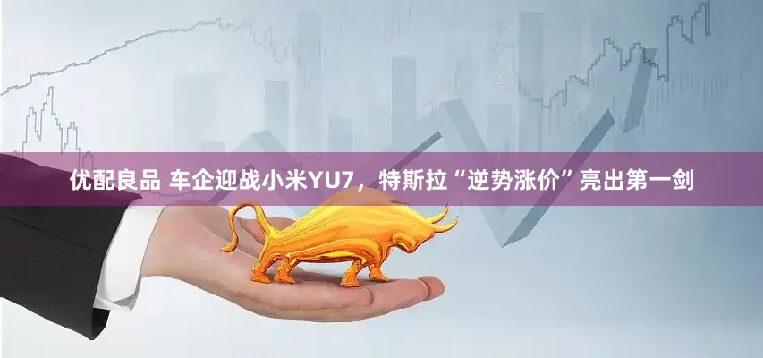 优配良品 车企迎战小米YU7，特斯拉“逆势涨价”亮出第一剑