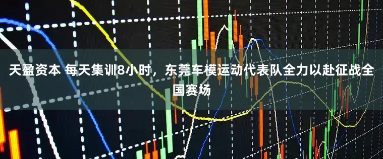 天盈资本 每天集训8小时，东莞车模运动代表队全力以赴征战全国赛场