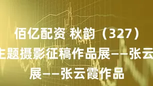 佰亿配资 秋韵（327）| 上游主题摄影征稿作品展——张云霞作品