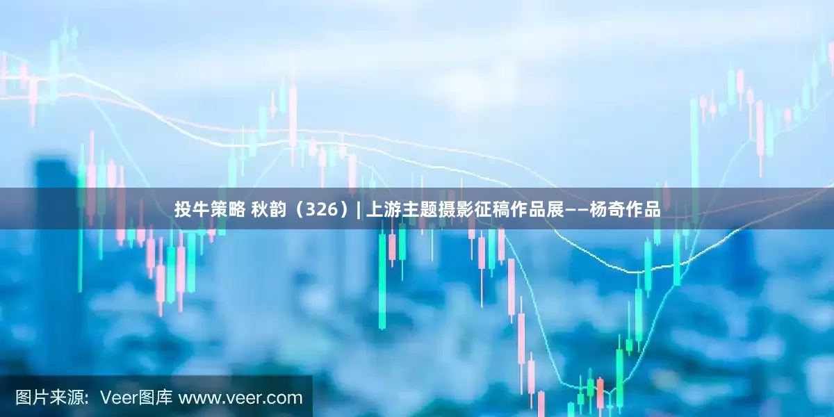 投牛策略 秋韵（326）| 上游主题摄影征稿作品展——杨奇作品