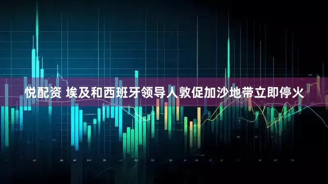 悦配资 埃及和西班牙领导人敦促加沙地带立即停火