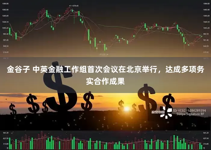 金谷子 中英金融工作组首次会议在北京举行，达成多项务实合作成果