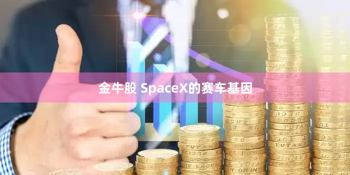 金牛股 SpaceX的赛车基因